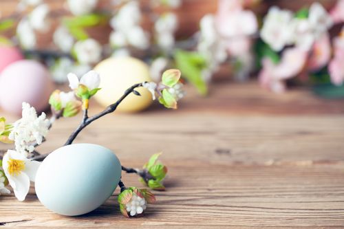 Osterei und Palmzweig